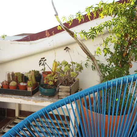 Pensjonat Vic Arts House *