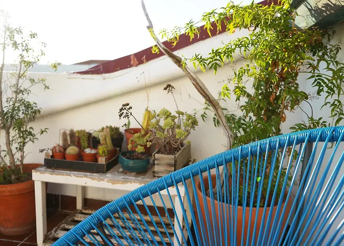 Vic Arts House Aveiro